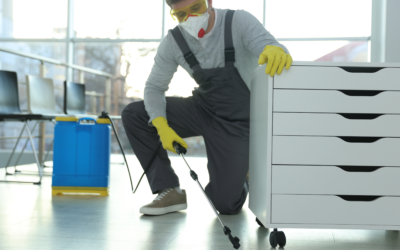Qui est obligé de faire dératiser, et dans quels cas ?