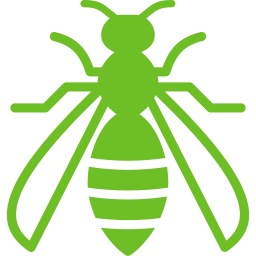 infestation guêpes